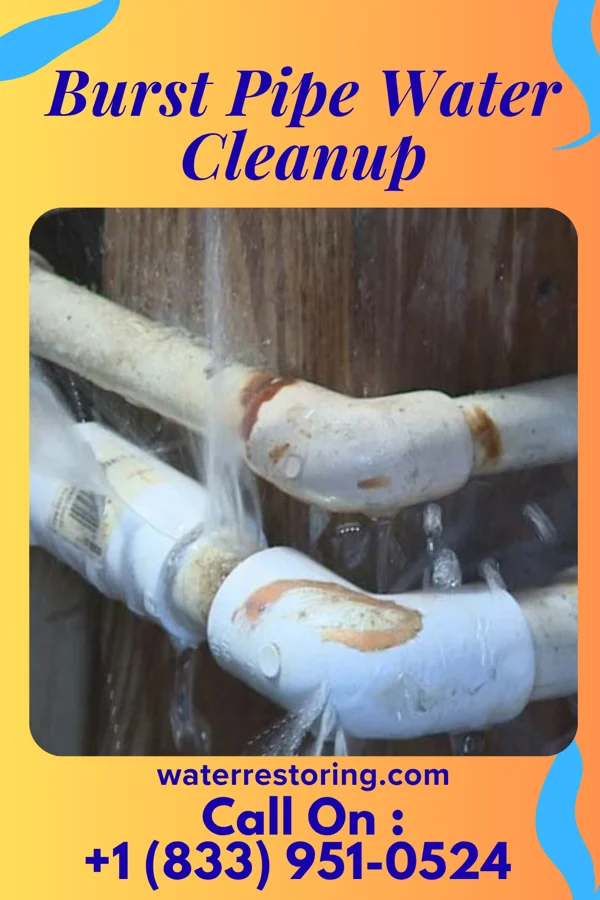 Burst Pipe Water Cleanup in Jane Lew, WV