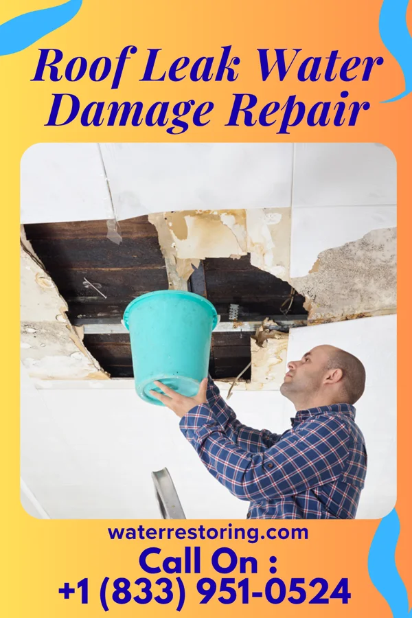 Roof Leak Water Damage Repair in Jane Lew, WV