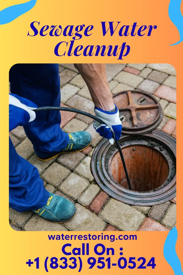 Sewage Water Cleanup in Jane Lew, WV